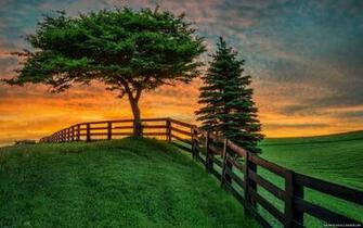Summer Field Sunset Fence Nature HD Wallpaper New