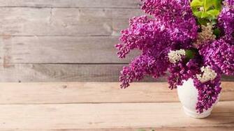 Lilac Wallpaper