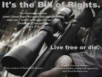 Gun Rights Prints Individual Protect The Bill Of