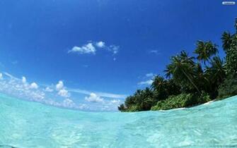 Wallpaper Clean Water Beach Custom Papel