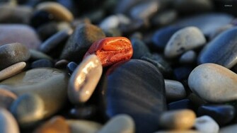 Pebbles Wallpaper Photography