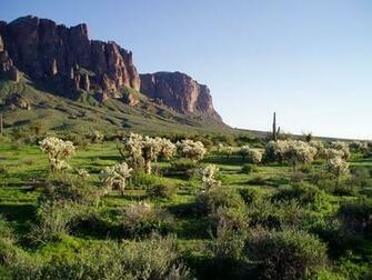 Mountains Loom In The Background Of These Sonoran Desert Scenes