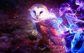 Barn Owl Computer Wallpaper Desktop Background Id
