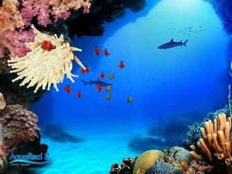 Wallpaper Background Aquarium Screensavers Real Those Programs