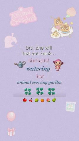 Animal Crossing Aesthetic New