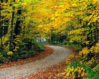 Autumn Wallpaper