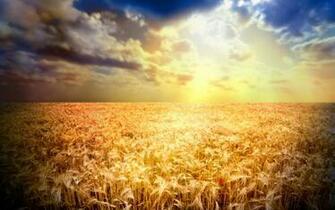 Epexegesis What Does The Kingdom Of Heaven Describe