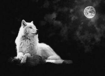 Wolf Moon Wise Woman Council Saturday January P M Est