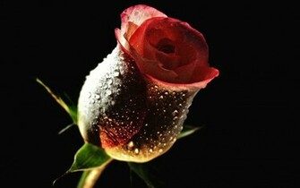 To Wallpaper Just Right Click On Pictures And Select Save