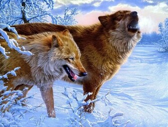 Winter Wolves Wallpaper And Image Pictures Photos
