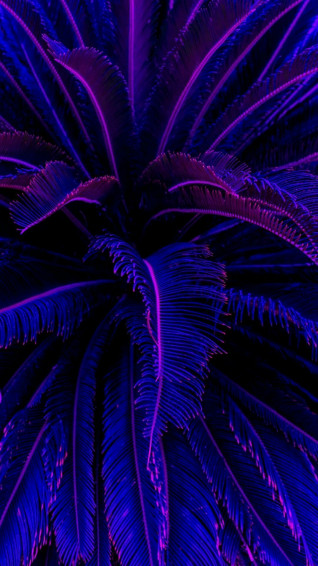 Neon Aesthetic Phone Wallpaper On