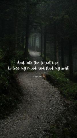 Wallpaper Quotes Meant To Be