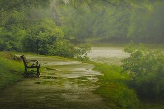 Wallpaper Nature Albany Washington Park Shop Rain Spring May