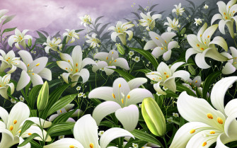 White Flower Wallpaper