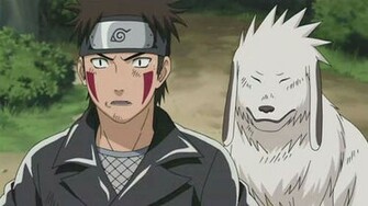 Kiba From Naruto Shippuden Image HD Wallpaper And Background