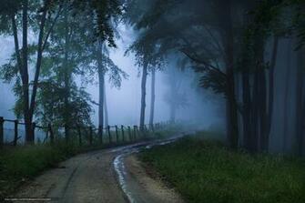 Wallpaper Road Fog Suspense Desktop In