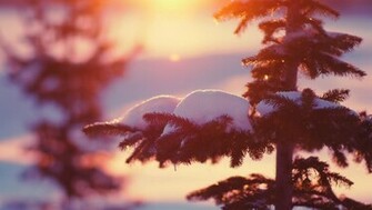 Nice Winter Wallpaper HD 1080p Desktop Mac iPhone