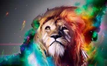 Lion 4k Wallpaper For Your Desktop Or Mobile Screen And Easy