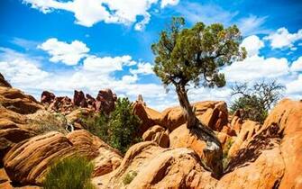 Park Utah Wallpaper Description Arches National