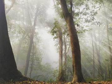 Nepal Image