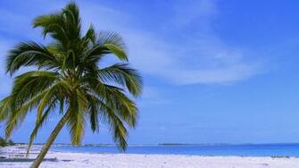 Hintergrundbilder Wallpaper Thema Wasser Und Meer Water And Ocean
