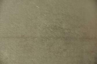 Silver Leaf Wallpaper Ml Gold