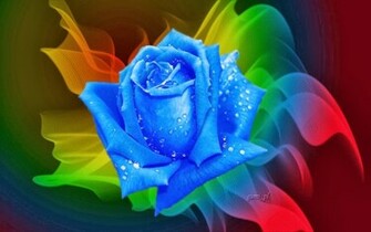 Blue Rose Wallpaper Background High Definition For