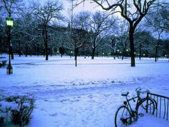 The University Of Chicago Magazine