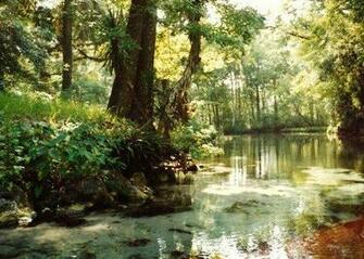 Florida The Sunshine State Fantastic Attractions Some