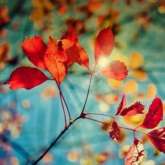 Wallpaper Del Samsung Galaxy S4 Full HD Disponibles Para Descargar