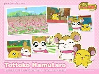 Hamtaro Wallpaper