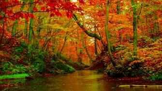 Autumn Forest River Desktop Background HD Wallpaper