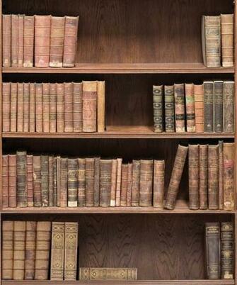 Bookshelf Wallpaper Realistic Library Design Milton King