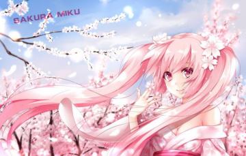 Wallpaper Girl Anime Sakura Art Vocaloid Hatsune Miku