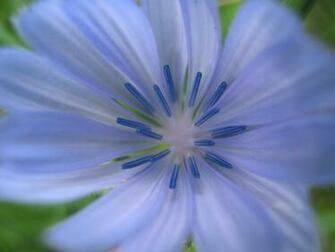 Blue Wallpaper By October