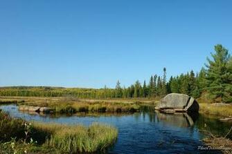 Autumn Algonquin Provincial Park Ontario Wallpaper Anglerz