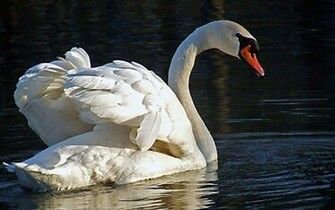 Natures Mighty Pictures Nature Photos Wallpaper