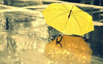 Yellow Umbrella Rain HD Wallpaper New