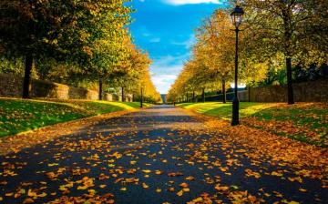 Crisp Autumn Morning In Dublin R Pics