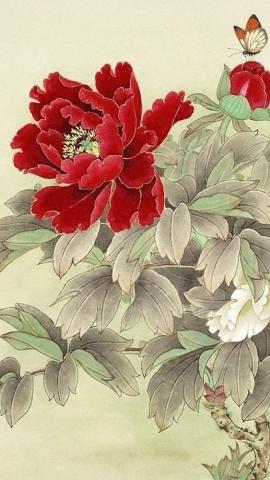Wallpaper For iPhone Find A Background Or Lock