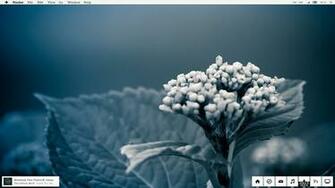 Desktop Wallpaper Winter Themes In HD