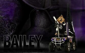 Bailey Wallpaper Store Club Season Web