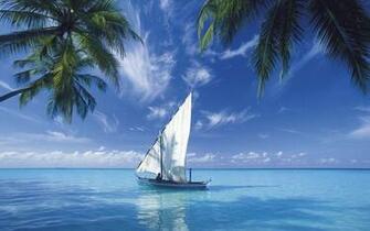 Nature Wallpaper HD Pictures Topwallpaper