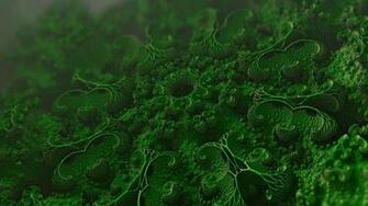 Wallpaper Microorganisms Cells Microscopic