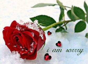 Am Sorry Image Pictures With Wallpaper HD Tech
