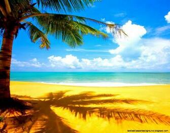 3d Summer Screensavers Wallpaper Best Background