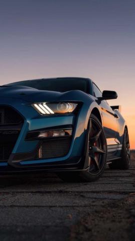 Ford Mustang Shelby Gt500 Cars