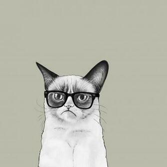 Cat Drawing Funny Grumpy