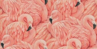 Flamingos Wallpaper
