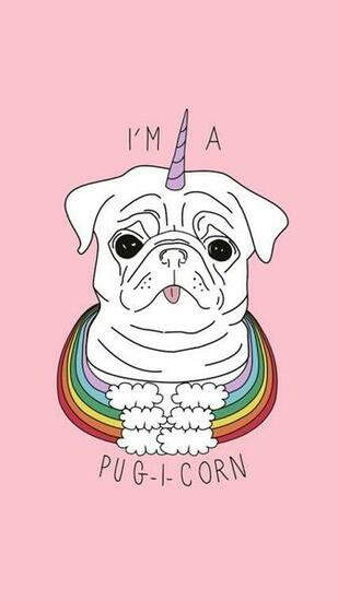 Best Pug Wallpaper Ideas Dog